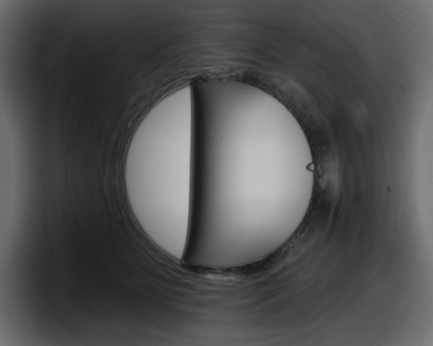 X0000098050515200803280733