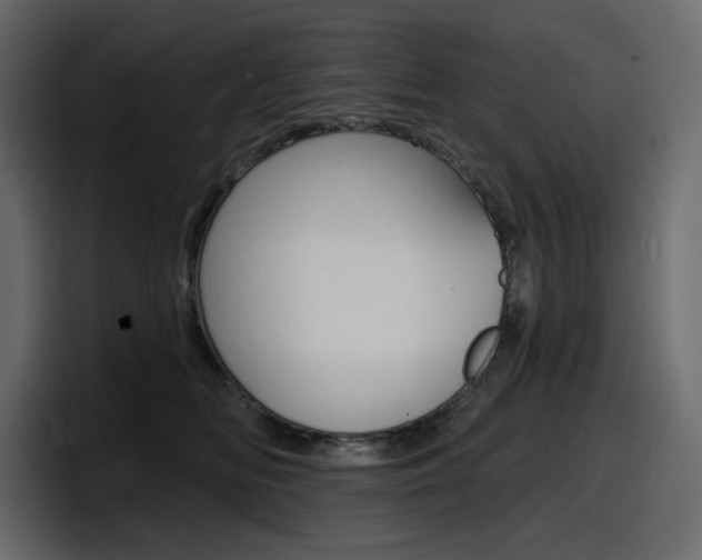 X0000098050518200803280733