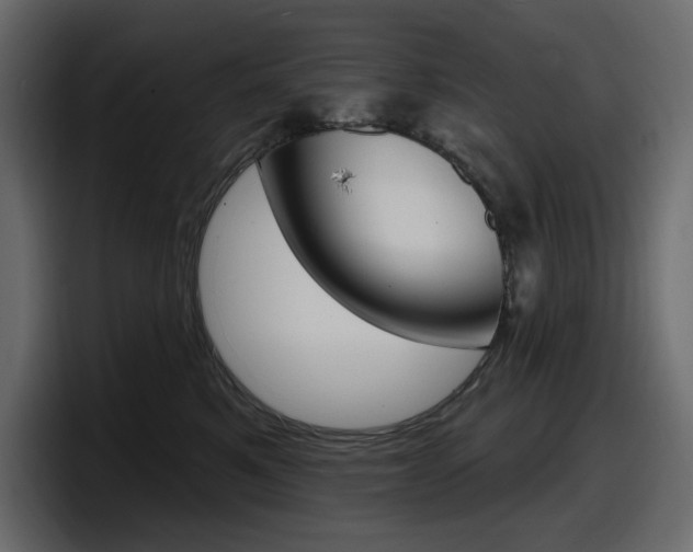 X0000098050521200803280733