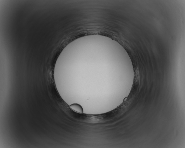 X0000098050522200803280733
