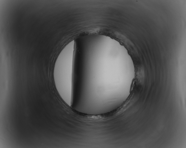X0000098050525200803280733