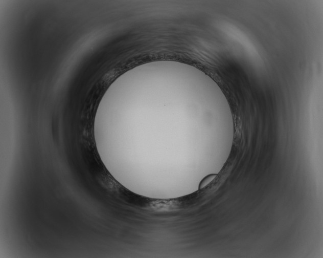 X0000098050526200803280733