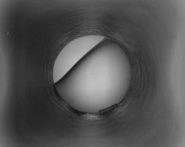 X0000098050528200803280733