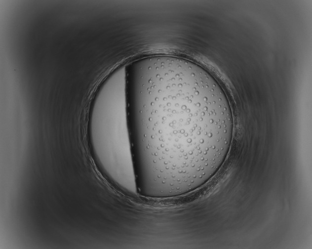 X0000098050529200803280732