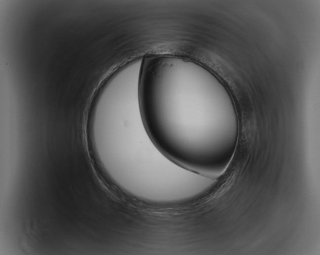 X0000098050530200803280732