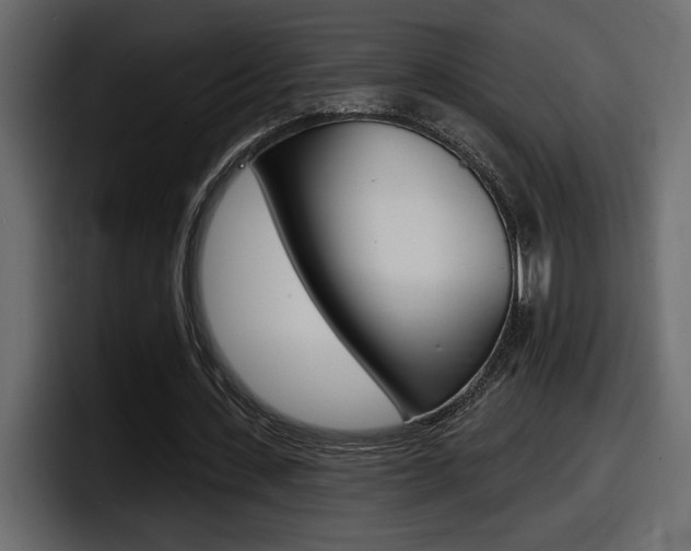 X0000098050531200803280732