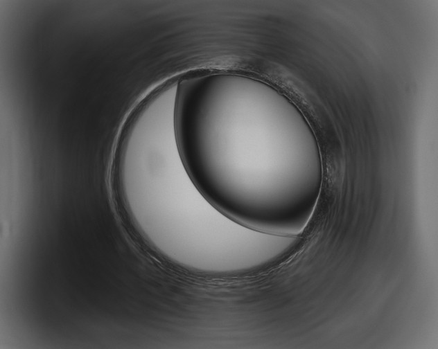 X0000098050532200803280732