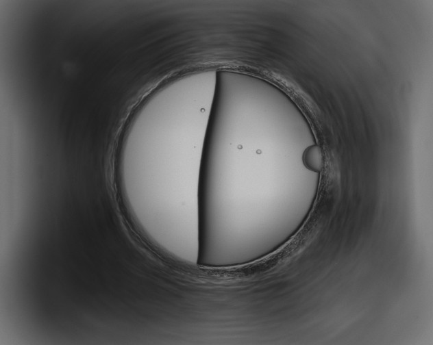X0000098050533200803280732