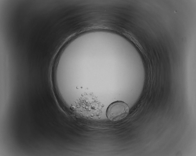 X0000098050534200803280732