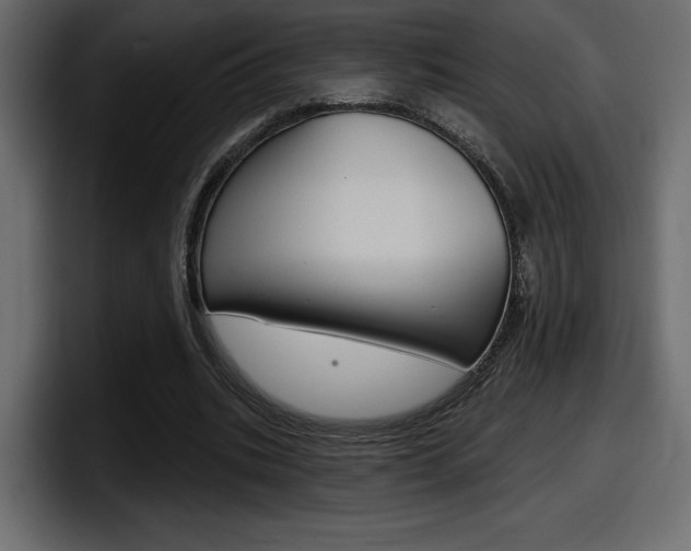 X0000098050535200803280732
