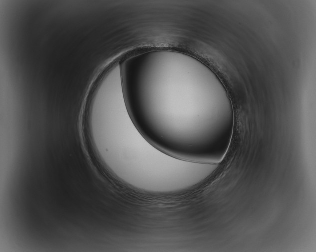 X0000098050536200803280732