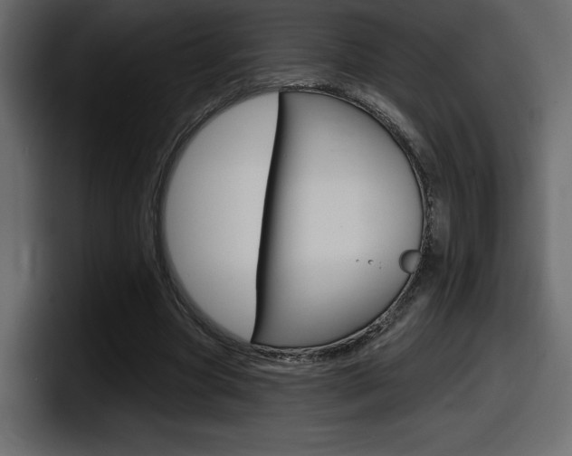 X0000098050537200803280732