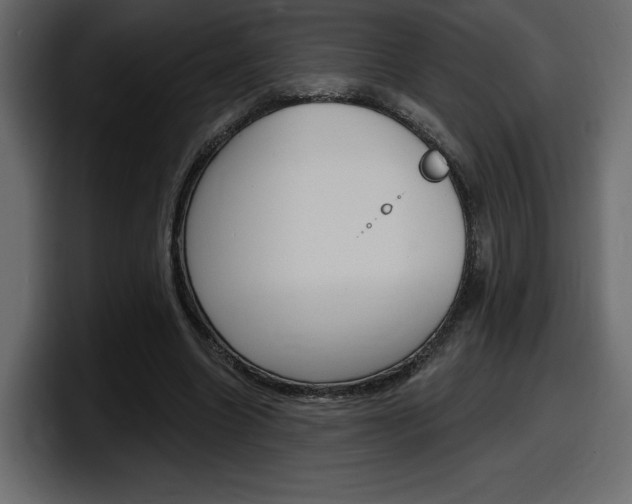 X0000098050538200803280732