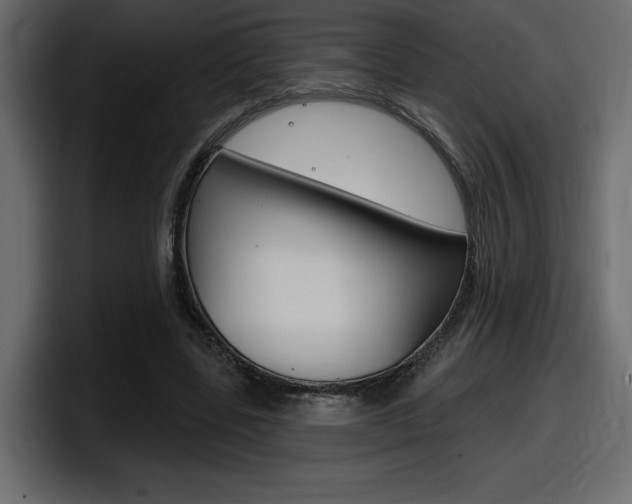 X0000098050539200803280732