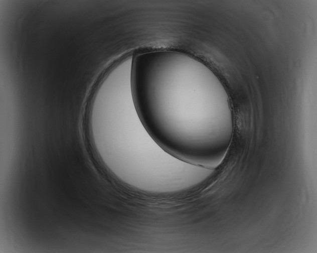 X0000098050540200803280732