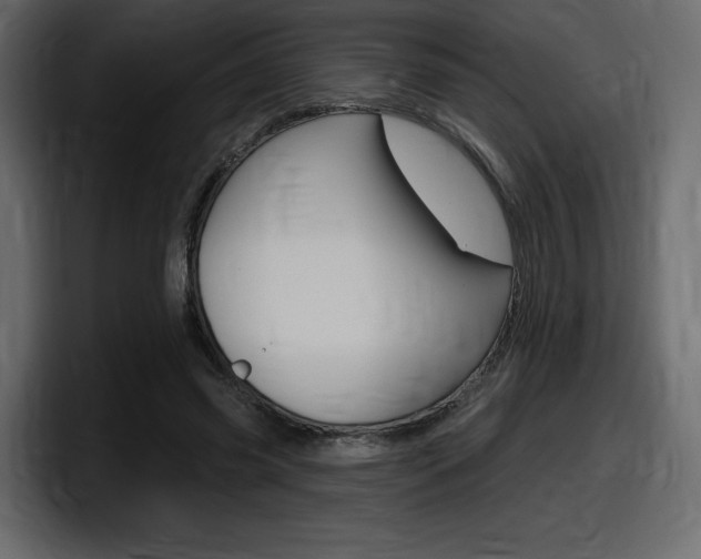 X0000098050541200803280732