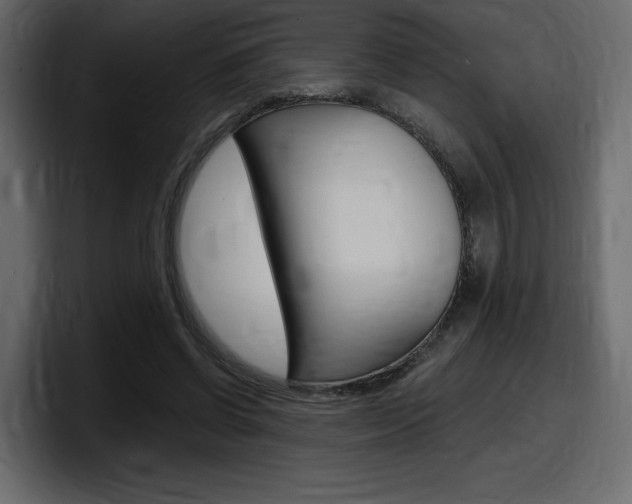 X0000098050542200803280732