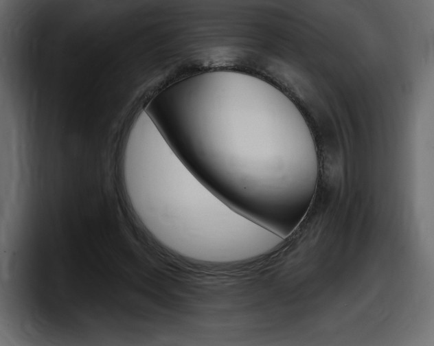 X0000098050543200803280732