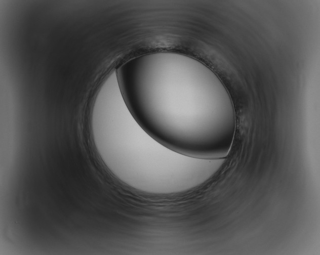 X0000098050544200803280732