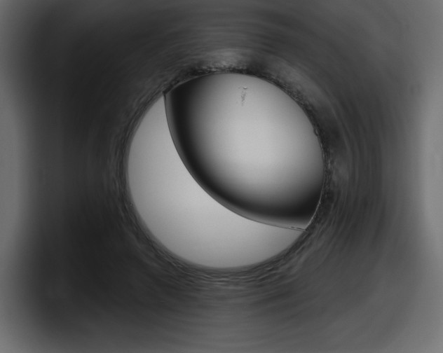 X0000098050546200803280732