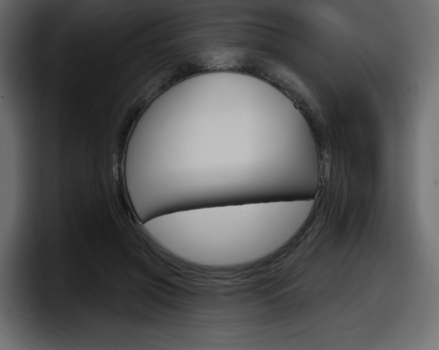 X0000098050549200803280732