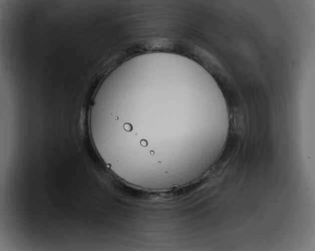X0000098050550200803280732
