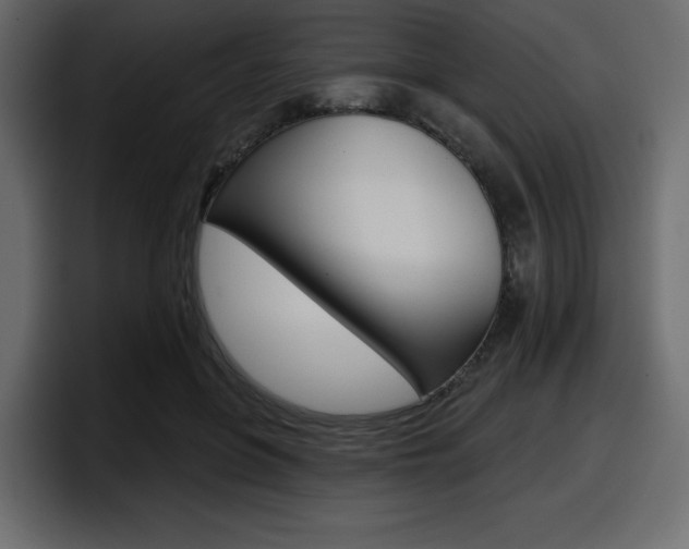 X0000098050551200803280732