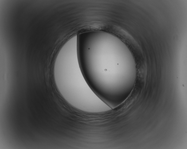 X0000098050552200803280732