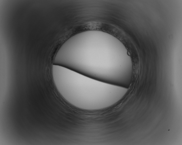 X0000098050553200803280732