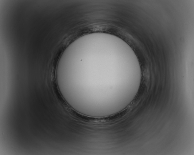 X0000098050554200803280732