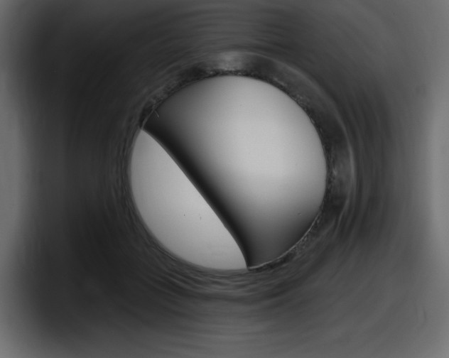 X0000098050555200803280732