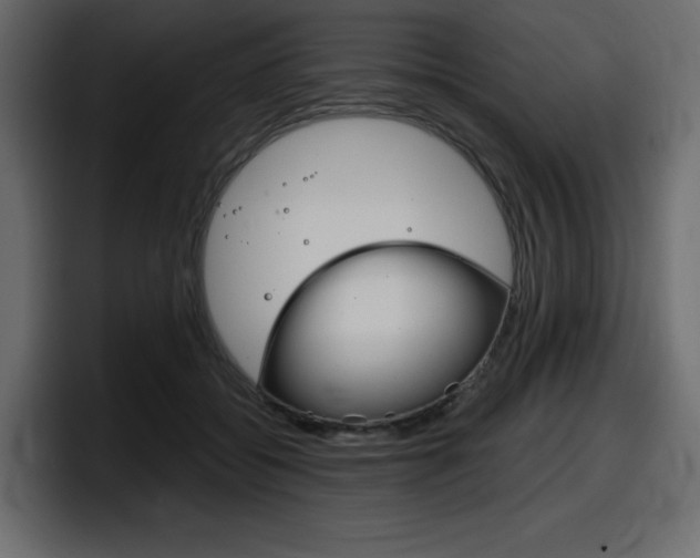 X0000098050556200803280732