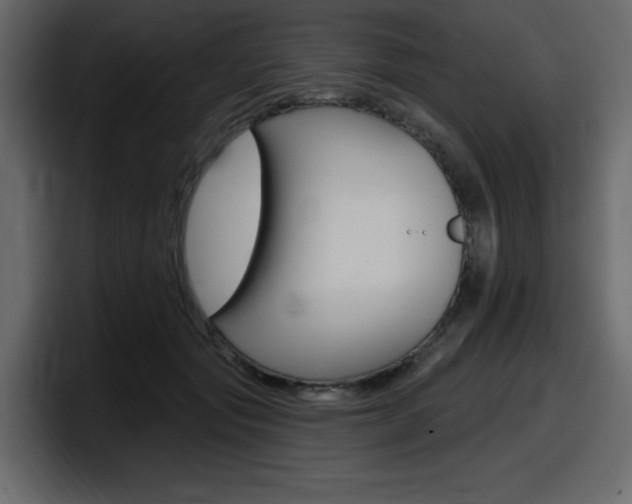 X0000098050557200803280732