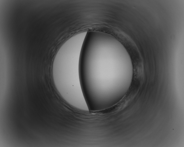 X0000098050558200803280732