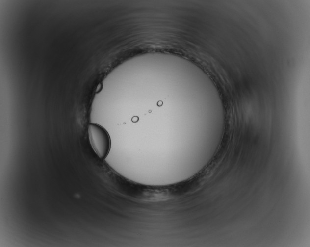 X0000098050559200803280732