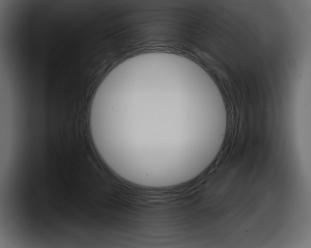 X0000098050560200803280732