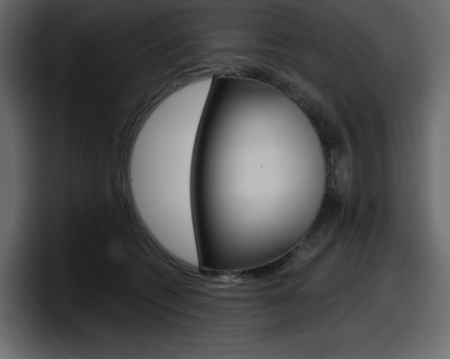 X0000098050562200803280732
