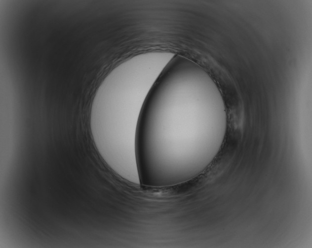X0000098050564200803280732