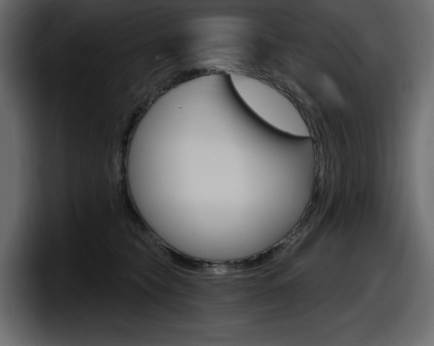 X0000098050565200803280732