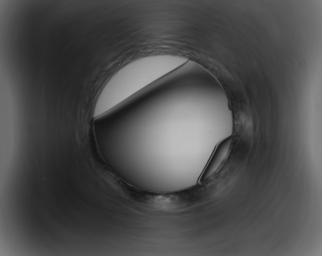 X0000098050566200803280732