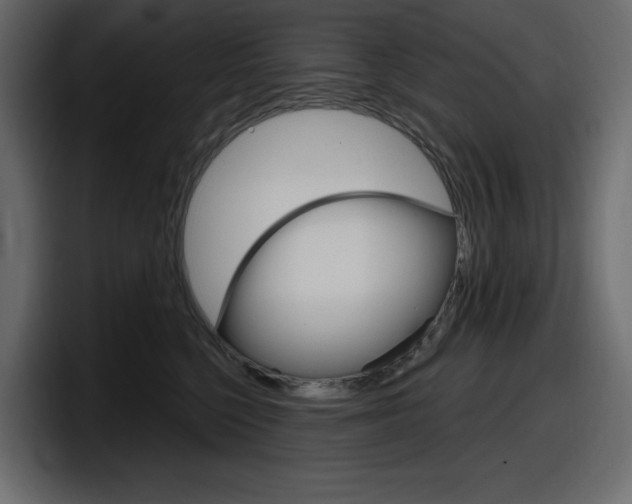 X0000098050568200803280732