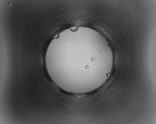 X0000098050569200803280732