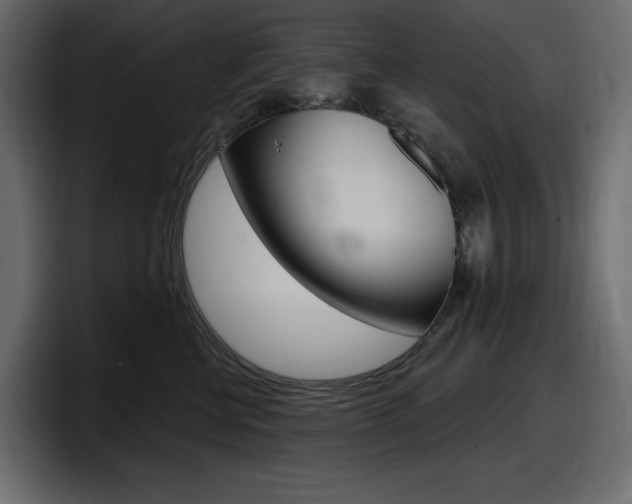 X0000098050570200803280733
