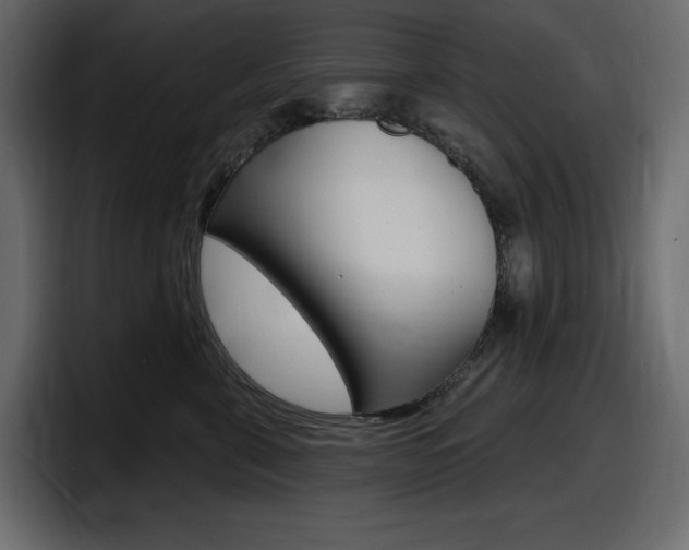 X0000098050571200803280733