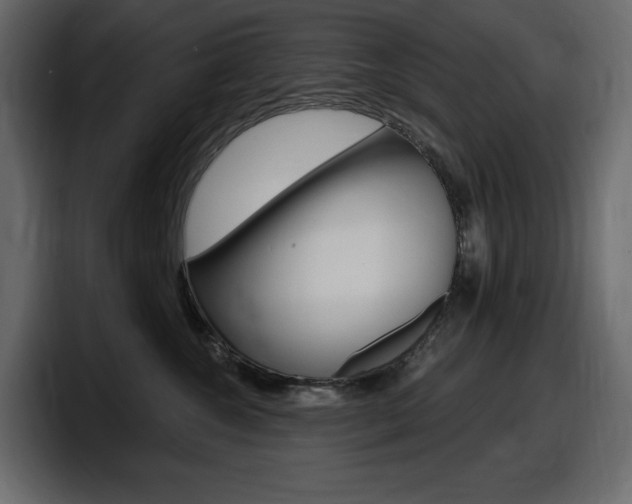 X0000098050572200803280733