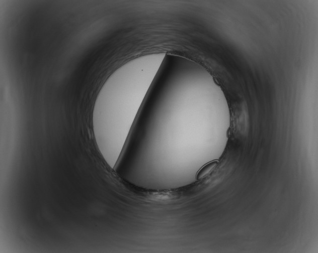 X0000098050574200803280733