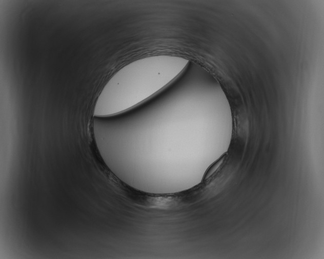 X0000098050575200803280733
