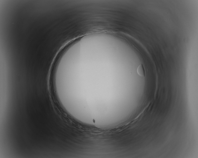 X0000098050579200803280732