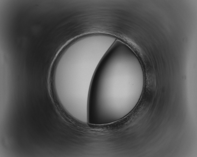 X0000098050580200803280732