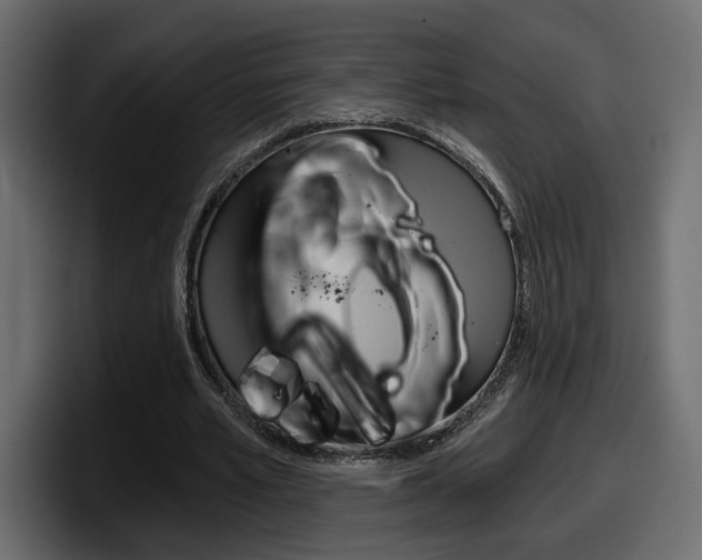 X0000098050581200803280732